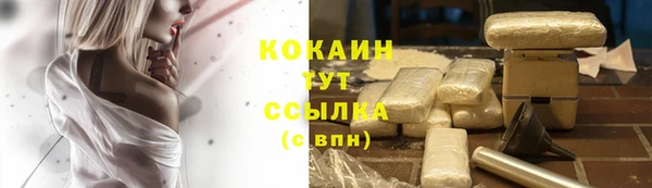 твердый Аркадак