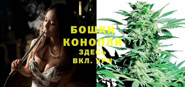 твердый Аркадак