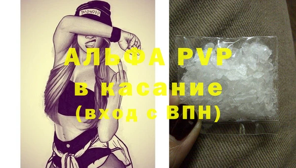 твердый Аркадак