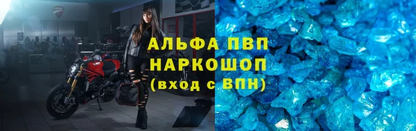 твердый Аркадак